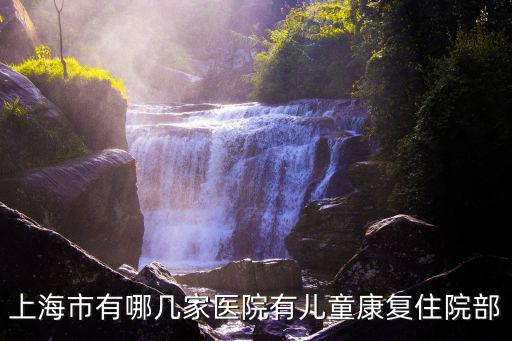 上海市有哪幾家醫院有兒童康復住院部