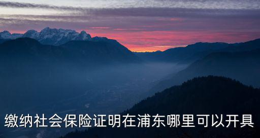 上海市社會保險證明，上海如何開社保證明和稅單