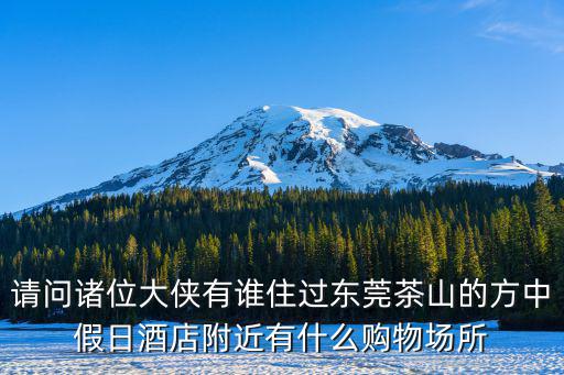 請問諸位大俠有誰住過東莞茶山的方中假日酒店附近有什么購物場所