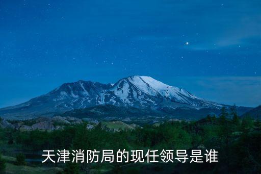 天津消防局的現任領導是誰