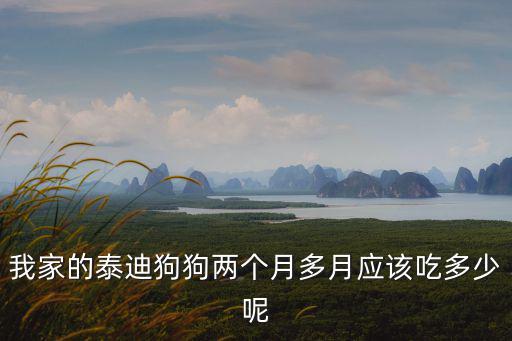 我家的泰迪狗狗兩個月多月應該吃多少呢