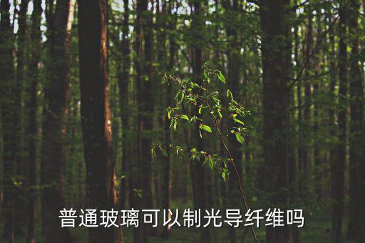 普通玻璃可以制光導纖維嗎