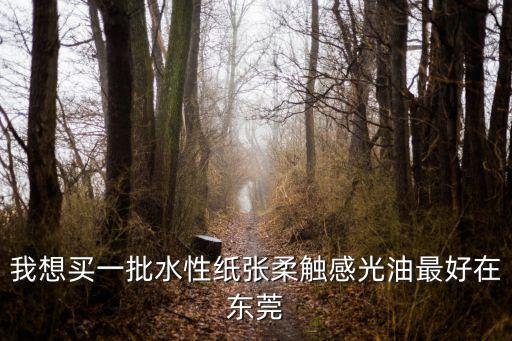 我想買一批水性紙張柔觸感光油最好在東莞