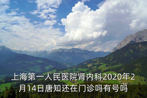上海第一人民醫(yī)院腎內(nèi)科2020年2月14日唐知還在門診嗎有號嗎