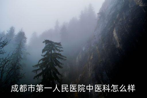 成都市一醫院好不好掛號，成都市一醫院三醫院七醫院哪家醫院更好一點