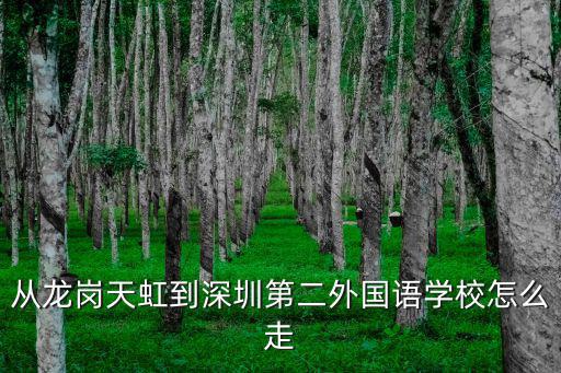 從龍崗天虹到深圳第二外國語學校怎么走