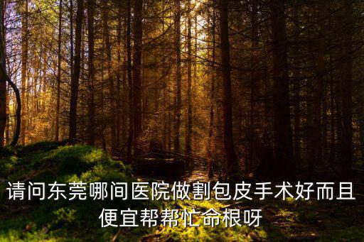 請問東莞哪間醫院做割包皮手術好而且便宜幫幫忙命根呀