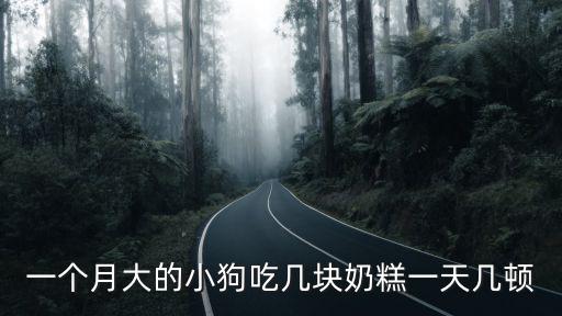 一個月大的小狗吃幾塊奶糕一天幾頓