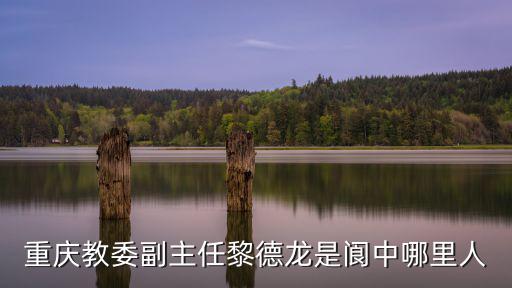 重慶教委副主任黎德龍是閬中哪里人