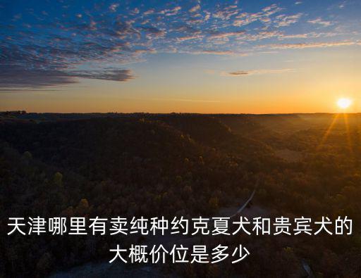 天津家養(yǎng)約克夏多少錢，關于天津約克夏的價格