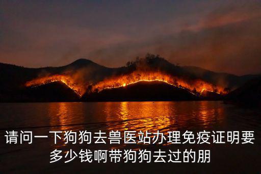 獸醫(yī)站打狗疫苗多少錢，有誰知道泉州鯉城區(qū)的畜牧獸醫(yī)站給狗狗打疫苗價格多少