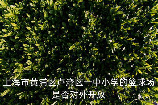 上海市黃浦區盧灣區一中小學的籃球場是否對外開放
