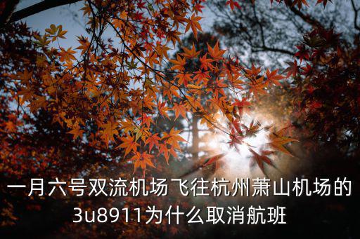 一月六號雙流機場飛往杭州蕭山機場的3u8911為什么取消航班