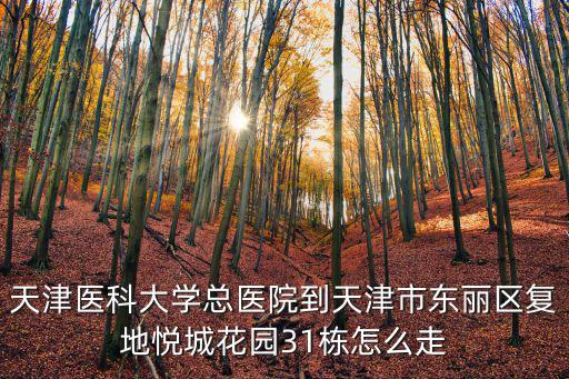 天津醫科大學總醫院到天津市東麗區復地悅城花園31棟怎么走