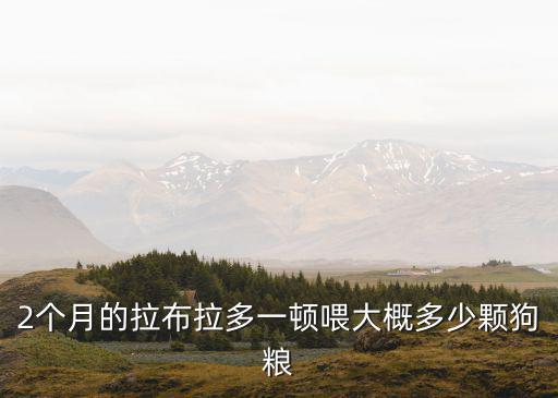 拉布拉多吃多少顆狗糧，2個月的拉布拉多一頓喂大概多少顆狗糧