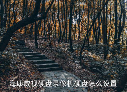 海康威視硬盤錄像機硬盤怎么設(shè)置