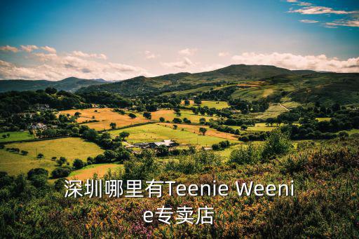 深圳哪里有Teenie Weenie專賣店