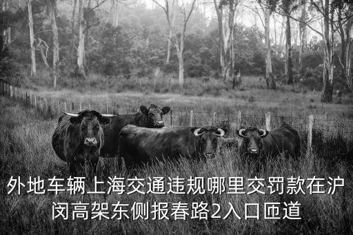 上海市外地車輛違章處理在哪，外地車輛上海交通違規哪里交罰款在滬閔高架東側報春路2入口匝道