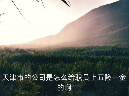 天津市的公司是怎么給職員上五險(xiǎn)一金的啊