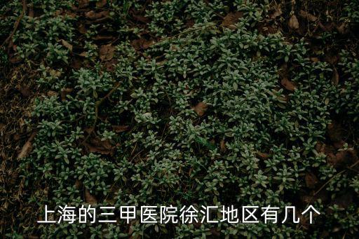 上海的三甲醫院徐匯地區有幾個