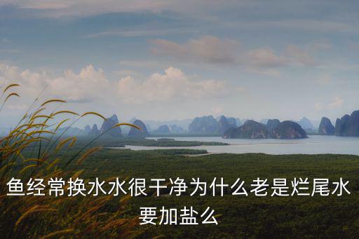 金魚爛尾加多少鹽，魚爛尾巴幾天放一次鹽