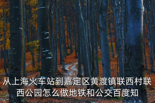 從上海火車站到嘉定區黃渡鎮聯西村聯西公園怎么做地鐵和公交百度知