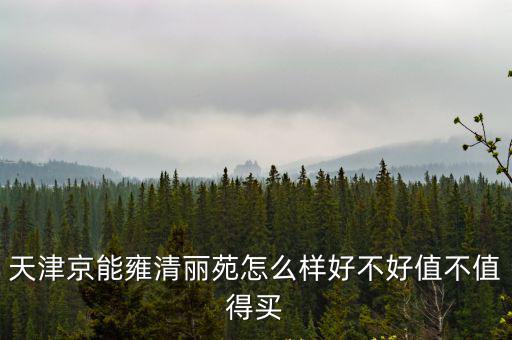 天津京能雍清麗苑怎么樣好不好值不值得買