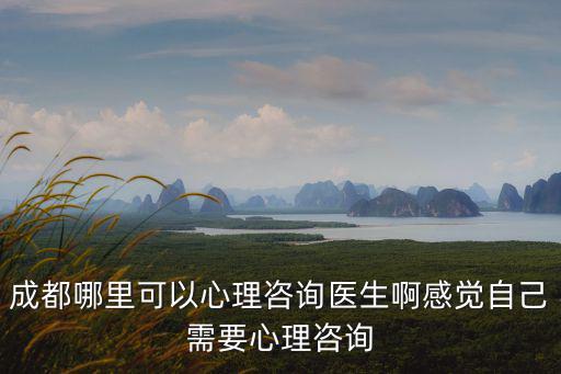 成都哪里可以心理咨詢醫(yī)生啊感覺自己需要心理咨詢