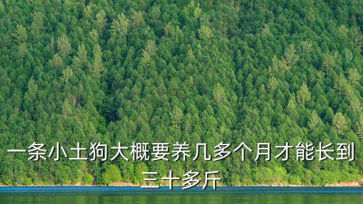 幼犬從一個月到兩個月能長多少，請問這是什么狗呀不到兩個月能長到多大呀