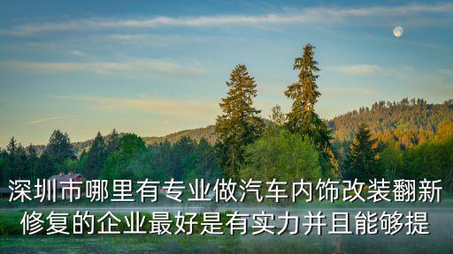 深圳市哪里有專業(yè)做汽車內(nèi)飾改裝翻新修復(fù)的企業(yè)最好是有實(shí)力并且能夠提