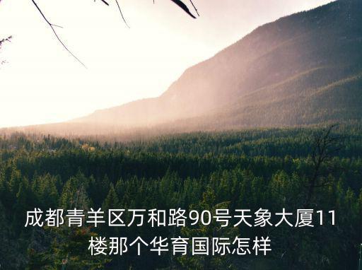 成都青羊區萬和路90號天象大廈11樓那個華育國際怎樣