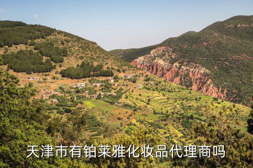 天津市有鉑萊雅化妝品代理商嗎