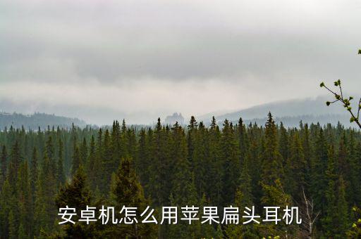 安卓機(jī)怎么用蘋(píng)果扁頭耳機(jī)