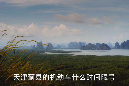 天津薊縣的機動車什么時間限號