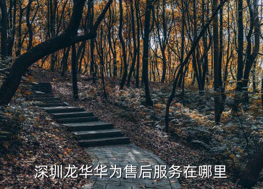 深圳龍華華為售后服務(wù)在哪里
