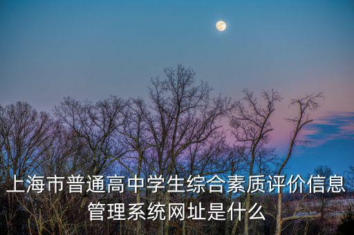 上海市普通高中學生綜合素質評價信息管理系統網址是什么