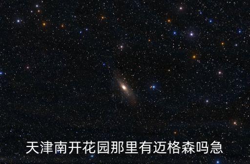 天津南開花園那里有邁格森嗎急