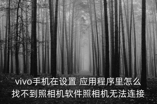 vivo手機在設置 應用程序里怎么找不到照相機軟件照相機無法連接