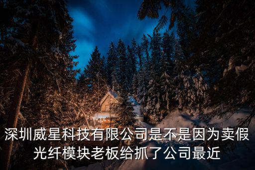 深圳光星電子新聞，光電新聞網的網址
