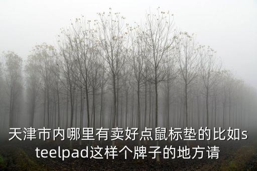 天津市內哪里有賣好點鼠標墊的比如steelpad這樣個牌子的地方請