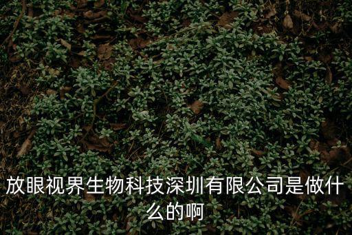 放眼視界生物科技深圳有限公司是做什么的啊