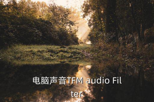 電腦聲音TFM audio Filter