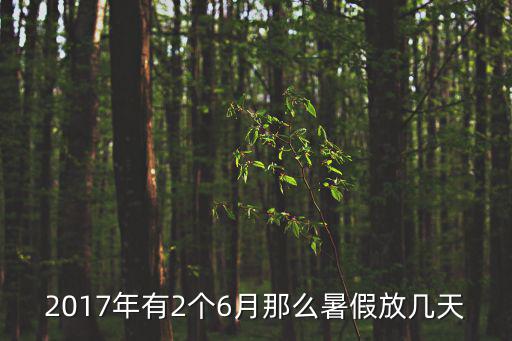 2017年有2個6月那么暑假放幾天