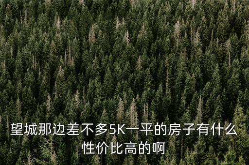 望城那邊差不多5K一平的房子有什么性價比高的啊