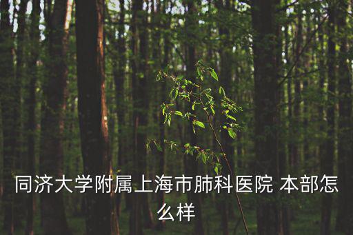 同濟大學附屬上海市肺科醫院 本部怎么樣