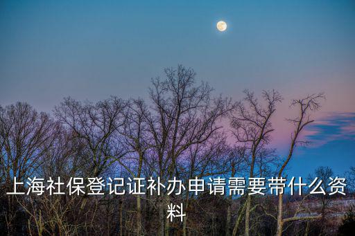 上海社保登記證補(bǔ)辦申請(qǐng)需要帶什么資料