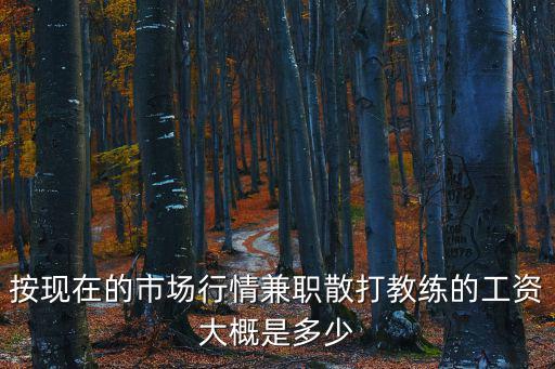 按現(xiàn)在的市場(chǎng)行情兼職散打教練的工資大概是多少