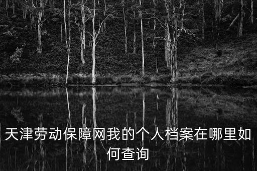 天津勞動(dòng)保障網(wǎng)我的個(gè)人檔案在哪里如何查詢