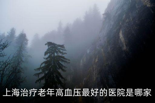 上海治療老年高血壓最好的醫院是哪家