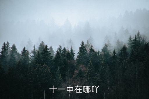 十一中在哪吖